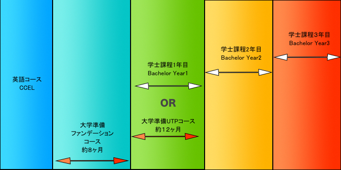 カンタベリー大学進学チャート